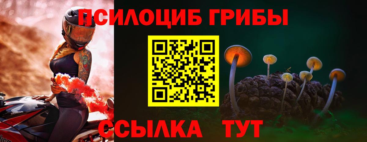 Псилоцибиновые грибы GOLDEN TEACHER Зеленодольск