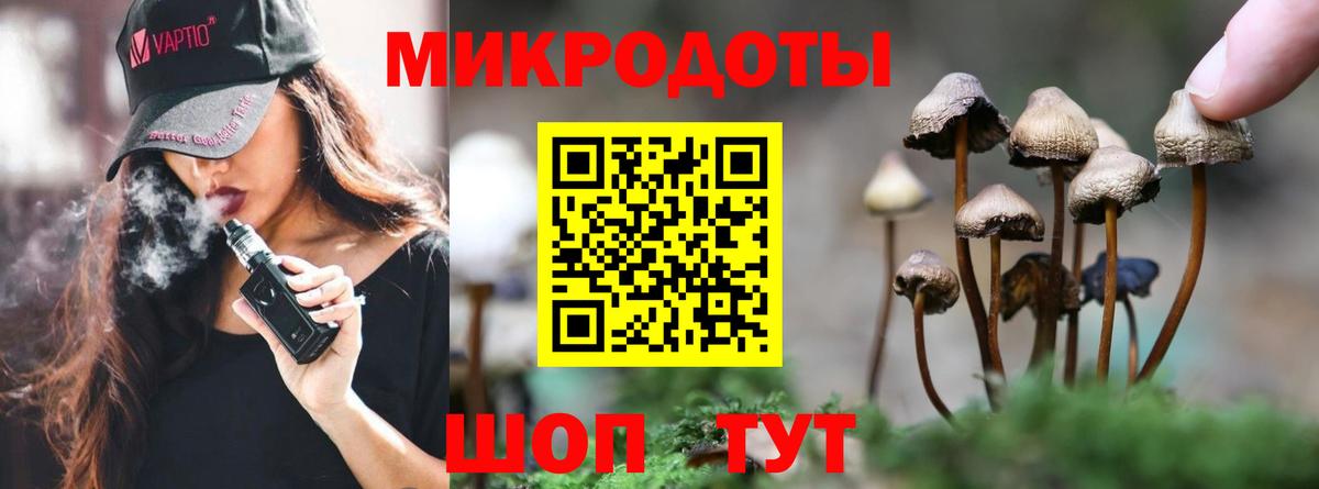 хочу наркоту  Псилоцибиновые грибы мухоморы  Вход с VPN  Зеленодольск 